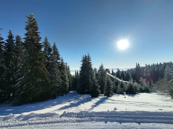 Hermoso Paisaje Invierno Montaña Con Bosque — Foto de Stock