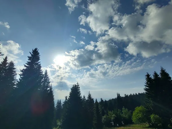 Wunderschöne Landschaft Mit Bergwald Vor Naturkulisse — Stockfoto