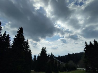 dağ orman ile güzel manzara