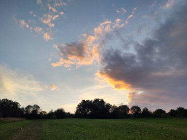 prachtige zonsondergang over groene veld 