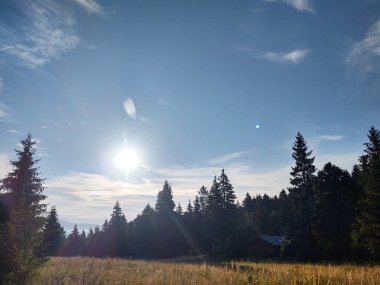 güzel dağ manzarası ile orman