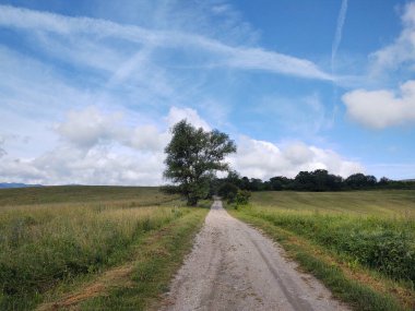 Kırsal yol bulutlu bir günde kırsalda