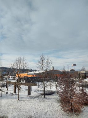 Kışın Avrupa 'da park