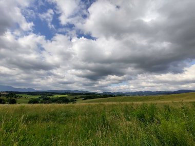 Tarlası olan güzel dağ manzarası