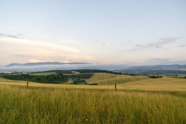 Tarlaları ve ormanı olan güzel bir manzara.