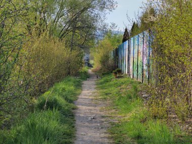Bahar günü ormanda yol
