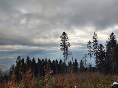 Bulutlu bir günde ormanlı güzel bir manzara.