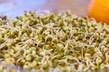 Kasedeki taze filizleri kapat.