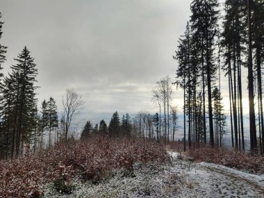 Dağ ormanlarıyla güzel kış manzarası
