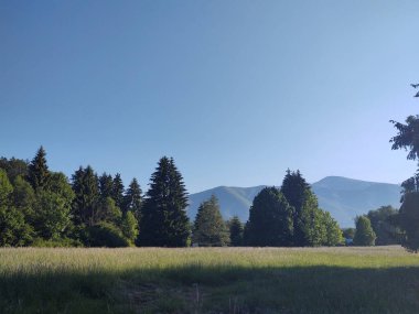 Dağlarla, tarlalarla ve ormanlarla dolu güzel bir manzara.