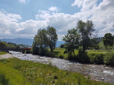 Güneşli bir günde nehirle güzel bir manzara