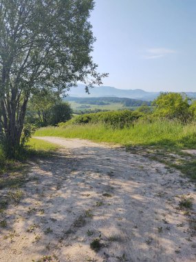 Yol yolu olan güzel bir manzara