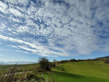Yeşil tarlaları olan güzel bir manzara