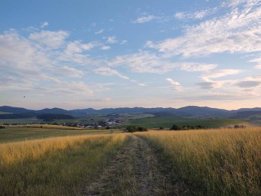 Günbatımı ve tarlası olan güzel doğa arka planı