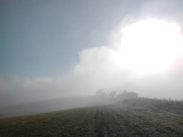 Hermoso Paisaje Con Campo Mañana Brumosa — Foto de Stock