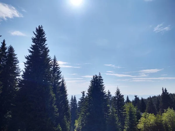 昼間の美しい山の風景 — ストック写真