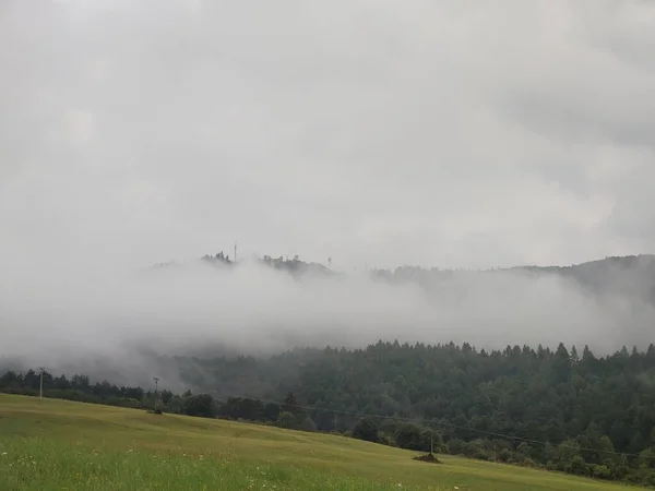 Bela Paisagem Montanhosa Com Nevoeiro Sobre Floresta — Fotografia de Stock