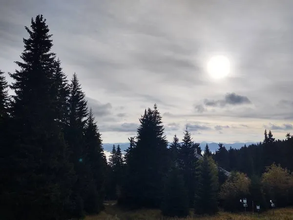 Schöne Berglandschaft Mit Wald — Stockfoto