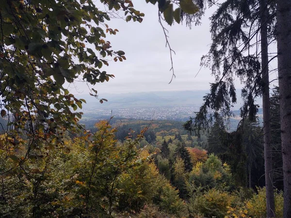 Herbstlandschaft Mit Bäumen Und Wald Auf Naturhintergrund — Stockfoto
