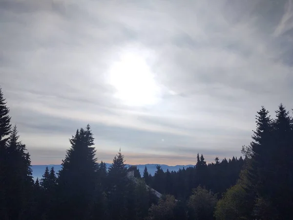 Schöne Berglandschaft Mit Wald — Stockfoto