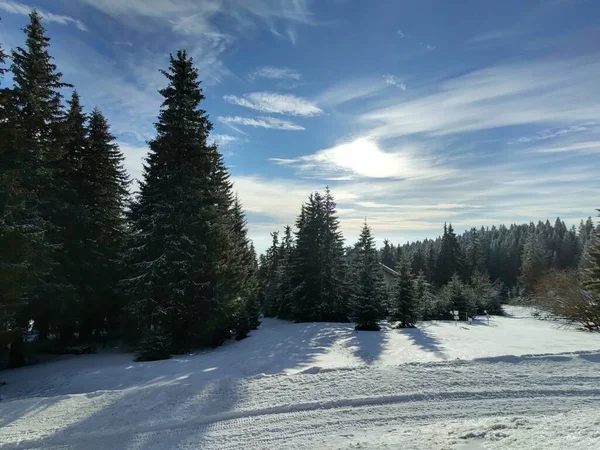 Hermoso Paisaje Montaña Con Bosque Temporada Invierno — Foto de Stock