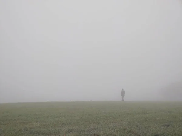 Зеленое Поле Туманное Утро — стоковое фото