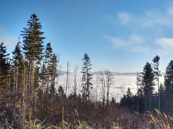 Bela Paisagem Inverno Montanhas Com Nuvens — Fotografia de Stock