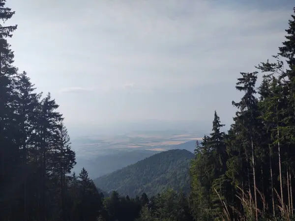 Dağları Ormanı Olan Güzel Bir Manzara — Stok fotoğraf