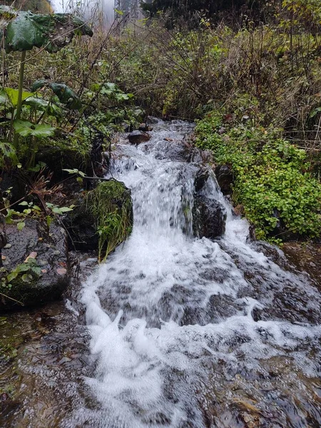 Kis Vízesés Gyönyörű Erdőben — Stock Fotó