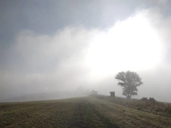 Beau Paysage Avec Champ Matin Brumeux — Photo