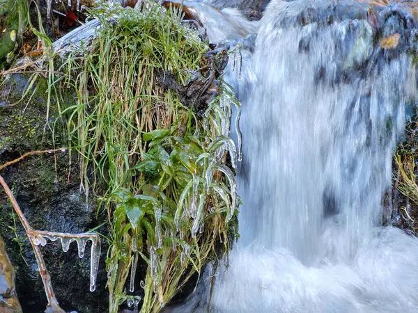 森の中の美しい小さな滝 — ストック写真