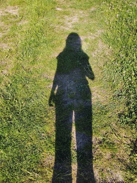 Тень Женщины Зеленом Поле — стоковое фото
