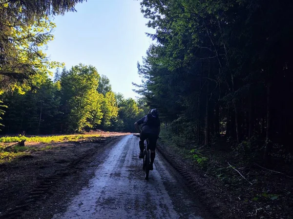 Man riding on bicycle in forest