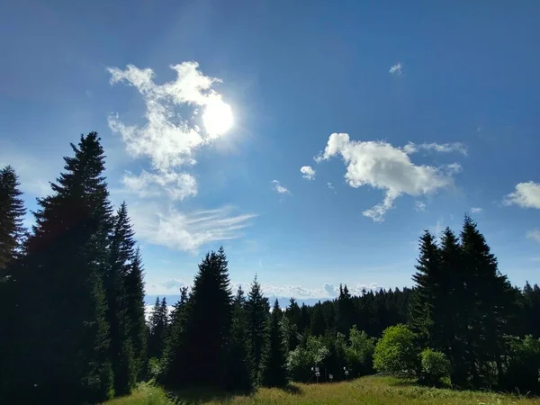 Wunderschöne Landschaft Mit Bergen Und Wald Vor Naturkulisse — Stockfoto