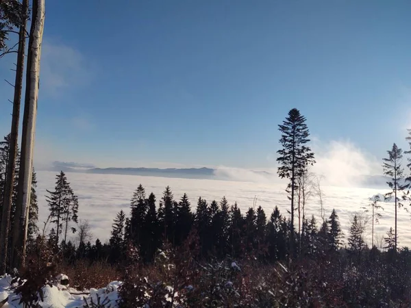 Schöne Winterlandschaft Bergen Mit Wolken — Stockfoto