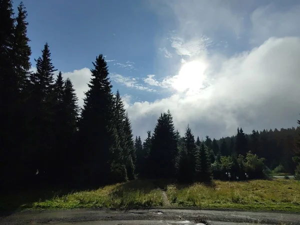 Wunderschöne Landschaft Mit Bergwald Vor Naturkulisse — Stockfoto