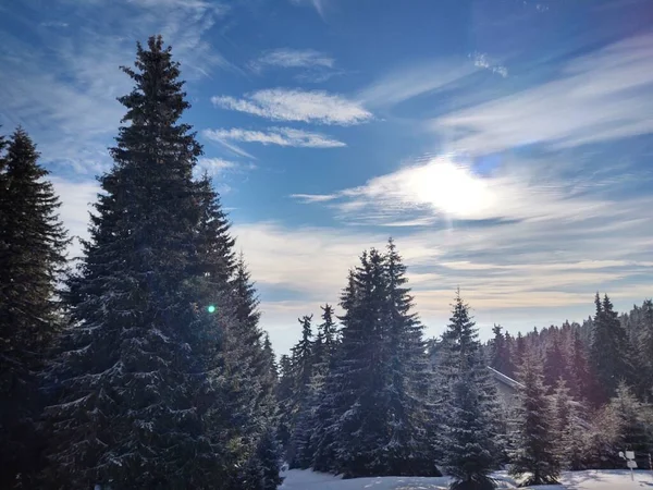 Kış Mevsiminde Ormanlı Güzel Dağ Manzarası — Stok fotoğraf