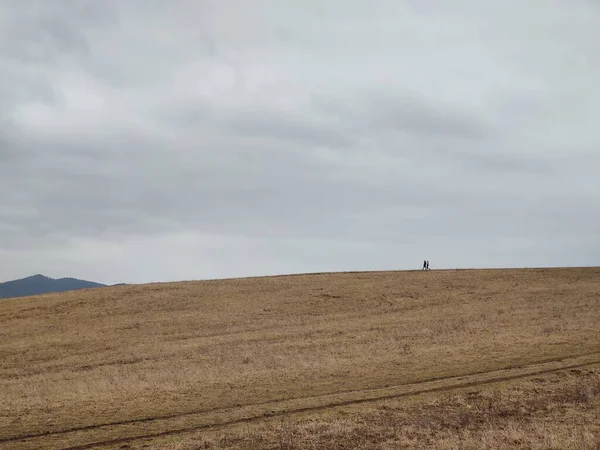 Krásná Horská Krajina Polem Oblačného Dne — Stock fotografie