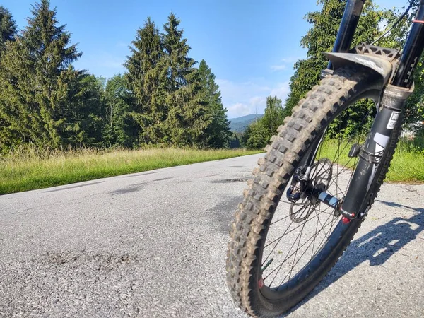 Zugeschnittenes Bild Des Fahrrads Auf Der Straße Wald — Stockfoto