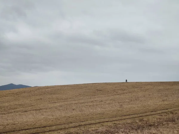 Krásná Horská Krajina Polem Oblačného Dne — Stock fotografie