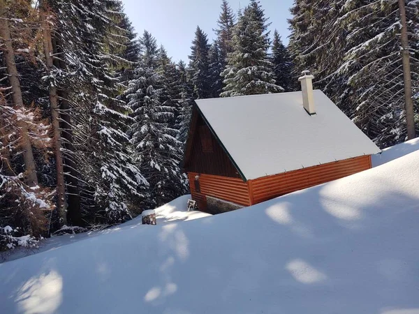 冬季森林中的木制房屋 — 图库照片