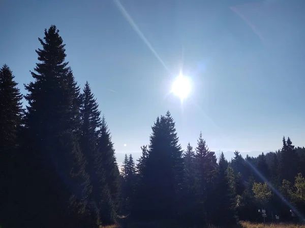 Beau Paysage Avec Une Forêt Montagne Sur Fond Nature — Photo