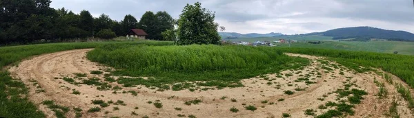 Paysage Rural Avec Herbe Verte Arbres Sur Fond Nature — Photo