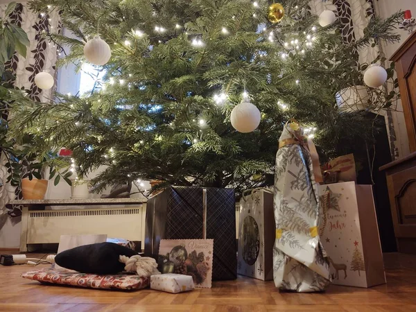 Рождественская Елка Подарками Игрушками Дома — стоковое фото
