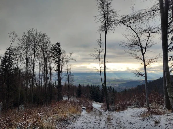 Bellissimo Paesaggio Invernale Con Foresta Montagna — Foto Stock