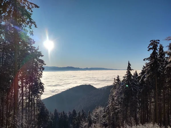 Όμορφο Ορεινό Τοπίο Δάσος Χειμώνα — Φωτογραφία Αρχείου