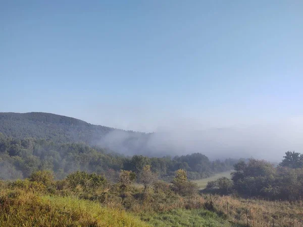 Prachtige Berglandschap Met Forest — Stockfoto