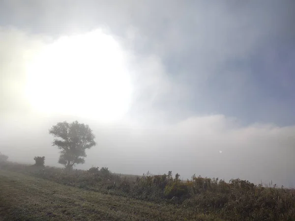 Schöne Landschaft Mit Feld Nebligen Morgen — Stockfoto