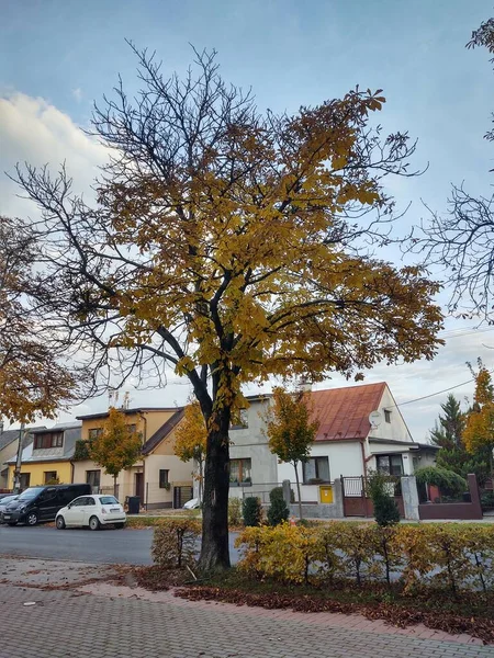 Europese Stad Het Najaar — Stockfoto