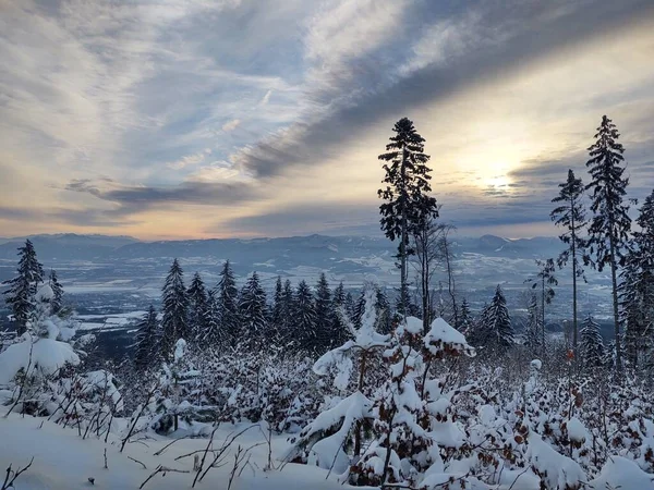 Bela Floresta Inverno Montanhas Com Árvores Cobertas Neve — Fotografia de Stock